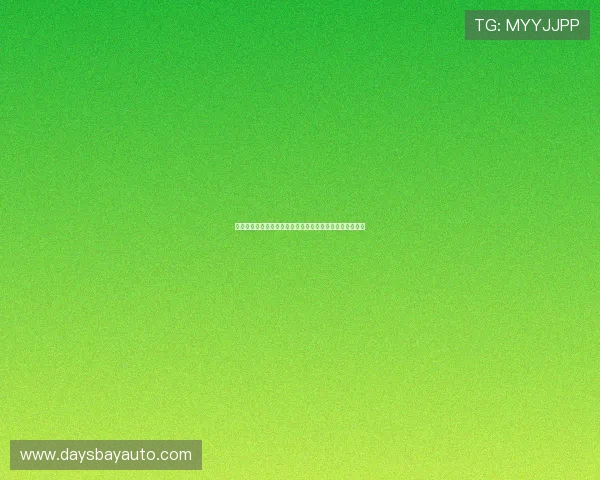 凯发九游会注册流程与新手指南详细介绍帮助新手快速上手